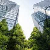 绿色树木映照在玻璃办公楼中。